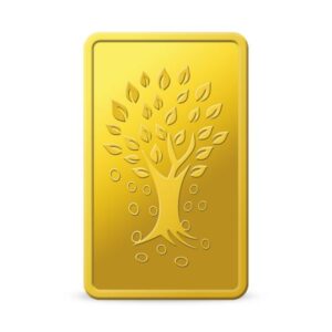 10g Gold Bar 24kt