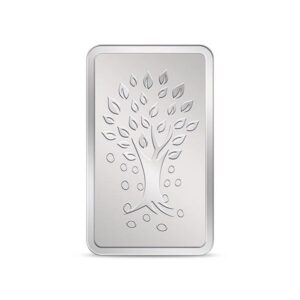 10g Silver Bar